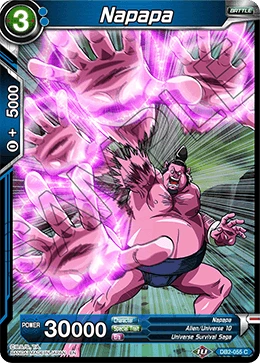 Napapa DB2-055 card