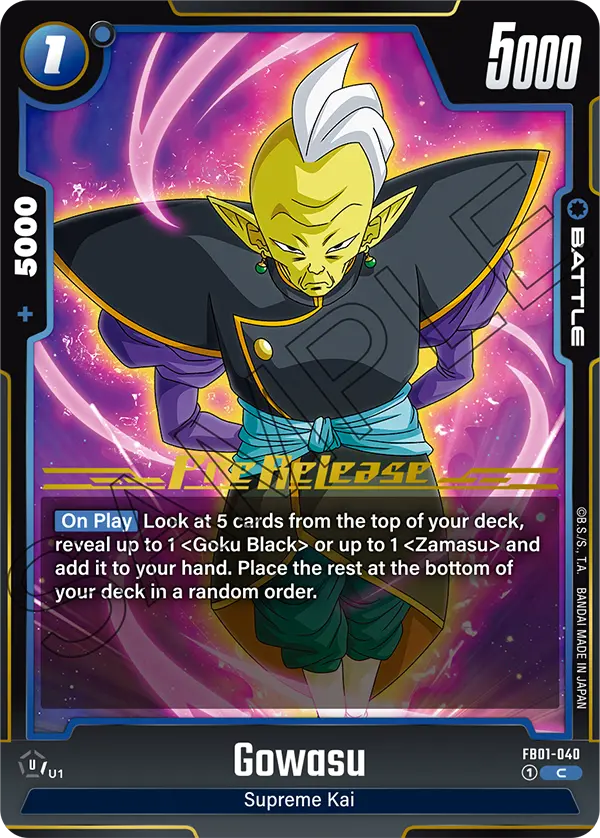Gowasu FB01-040-p1 card