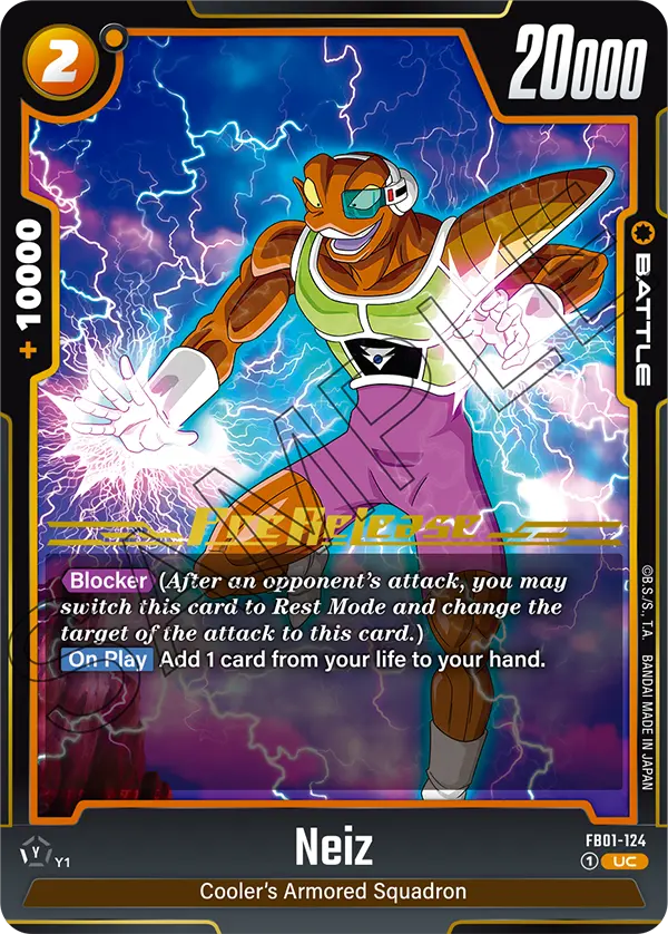 Neiz FB01-124-p2 card