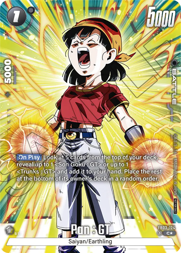 Pan : GT FB03-124-p2 card