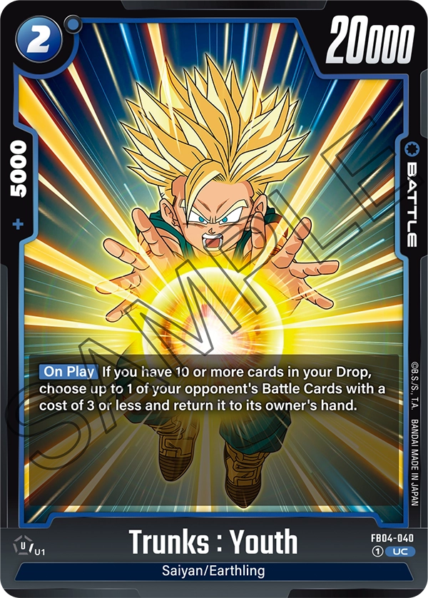 Trunks : Youth FB04-040 card
