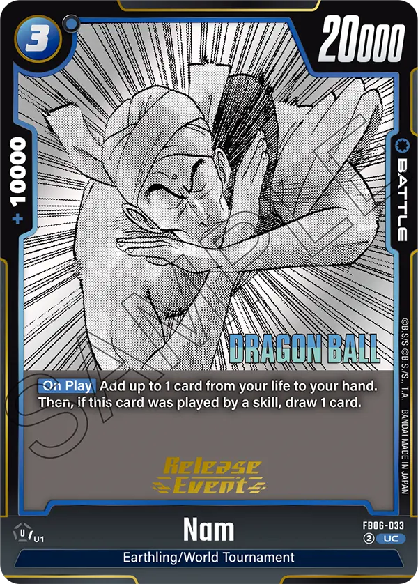 Nam FB06-033-p3 card