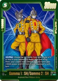 Gamma 1 : SH/Gamma 2 : SH FB07-051-p1 card