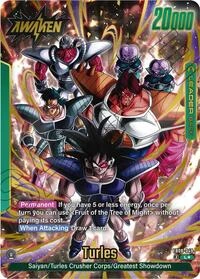 Turles FB08-049-p1 card