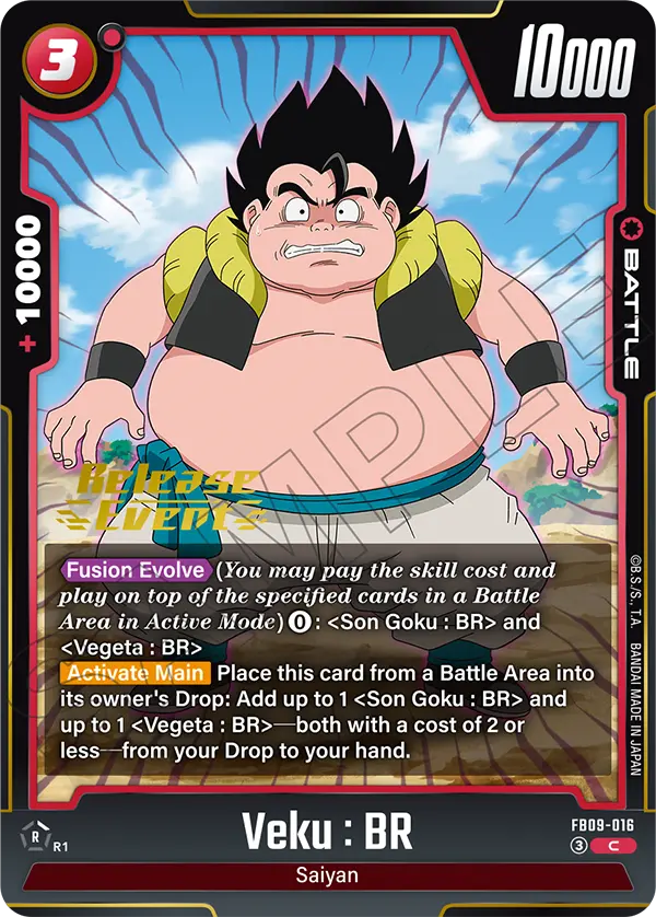 Veku : BR FB09-016-p1 card