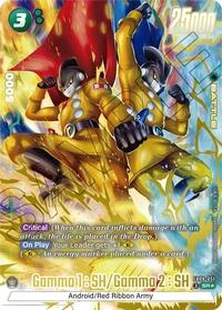 Gamma 1 : SH/Gamma 2 : SH FB09-051-p1 card
