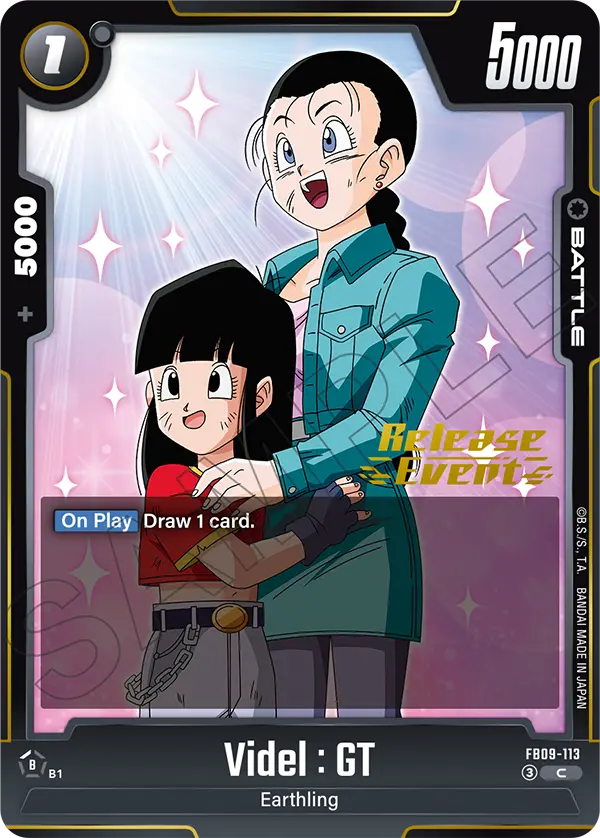 Videl : GT FB09-113-p2 card