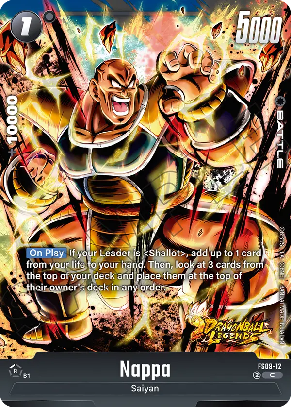 Nappa FS09-12 card