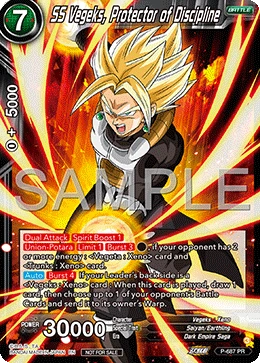 SS Vegeks, Protector of Discipline P-687 card