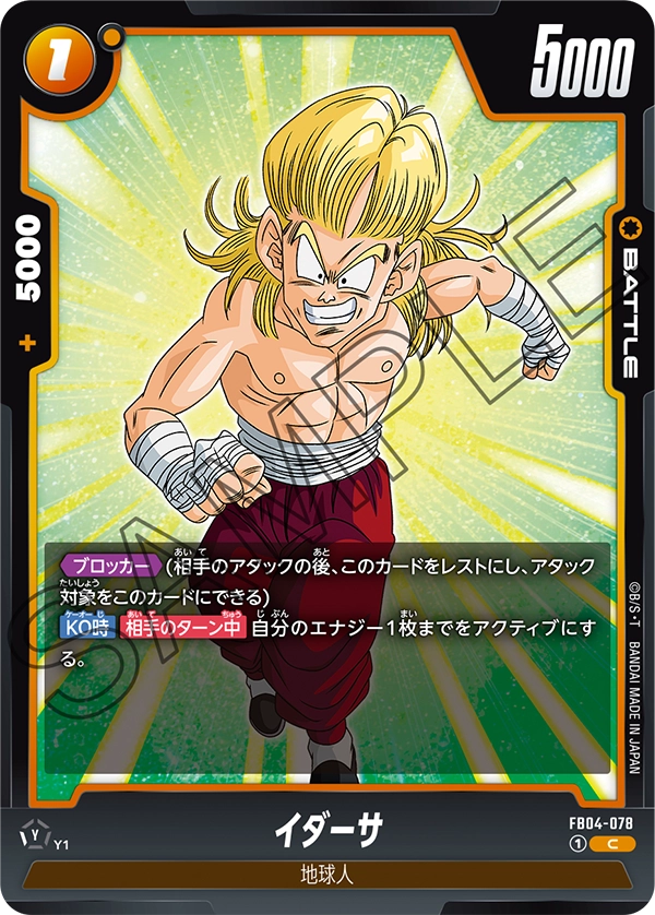 Idasa FB04-078 card