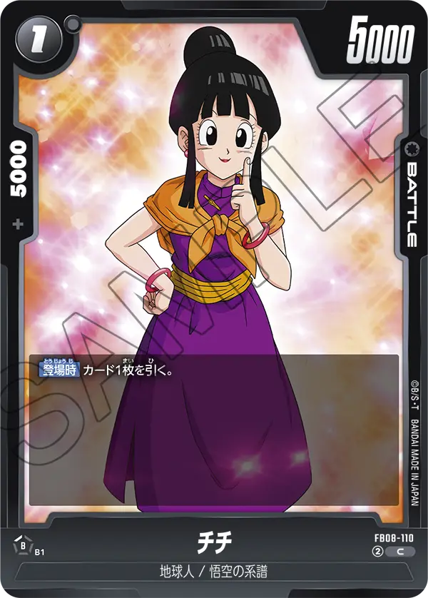 Chi-Chi FB08-110 card