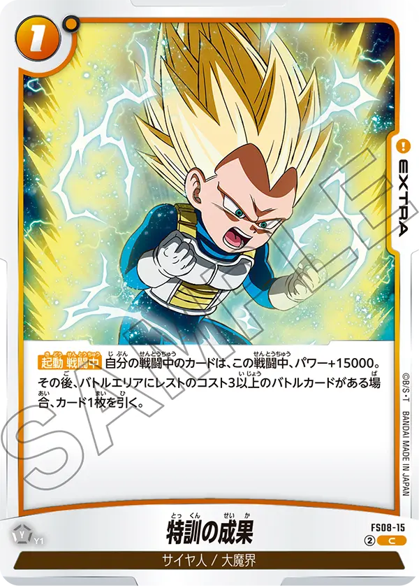 Results of Training FS08-15 card