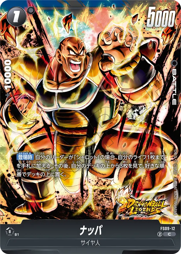 Nappa FS09-12 card