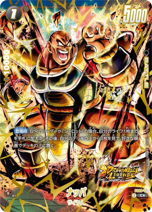 Nappa FS09-12-p1 card